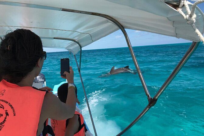 Sian Ka'an Trip from Playa del Carmen & Tulum - Boat time in mangroves: the bird zone that makes the trip
