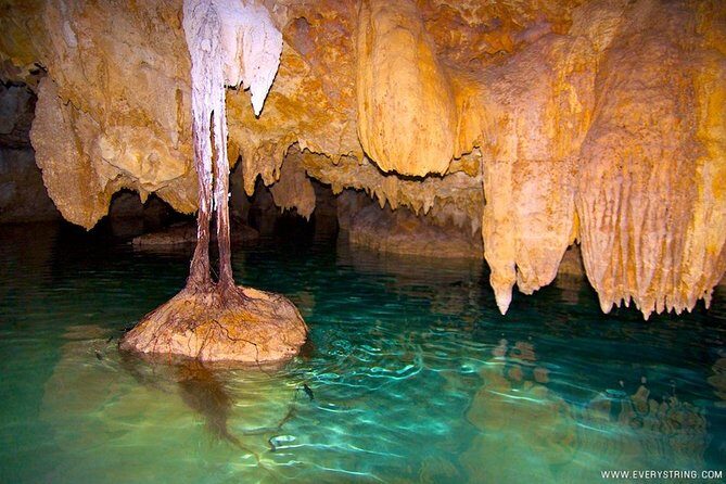 Silent Meditation in the Heart of the Cenote - Private groups - Why Silent Cenote Time Feels Different in Tulum