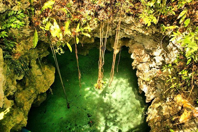 Silent Meditation in the Heart of the Cenote - Private groups - Silent Meditation in the Cenote Chambers: The Part That Makes This Tour Different