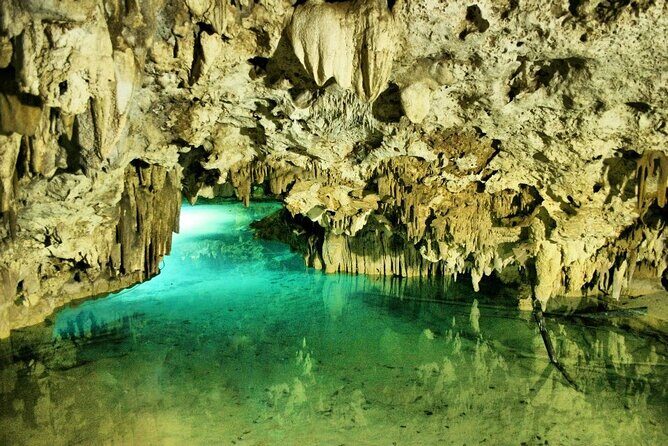 Silent Meditation in the Heart of the Cenote - Private groups - Price and Value: What You’re Paying $344 For