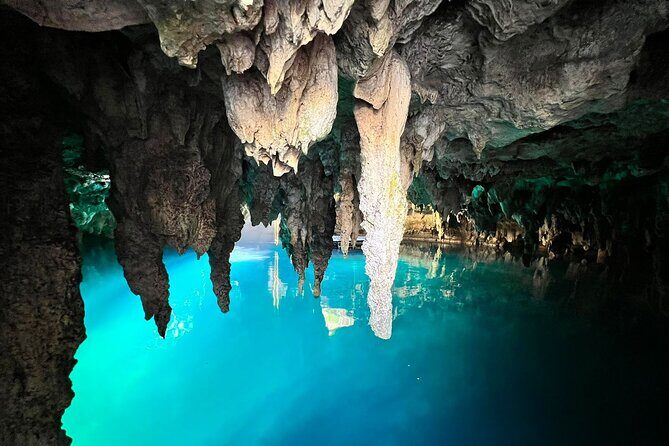 Single ATV, Horseback Riding, Ziplines and Cenote Swim - One-Person ATV in the Mayan Jungle