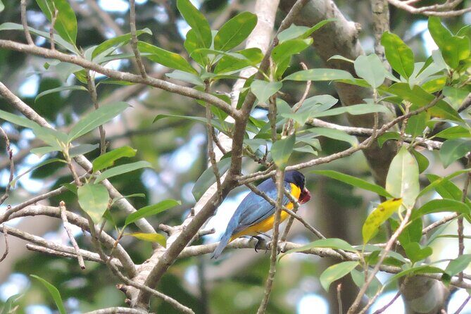 Small-Group Birdwatching Sian Kaan with professional guide - Weather matters more than you think