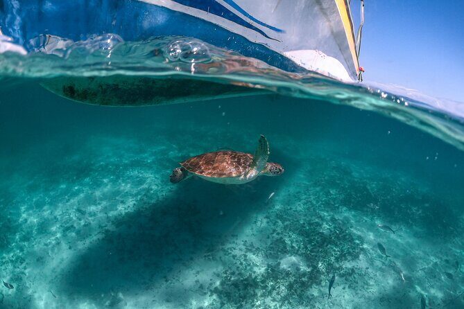 Small Group Tour to Cenote Cave and Sea Turtles snorkeling - What to Bring (and What to Leave at Home)