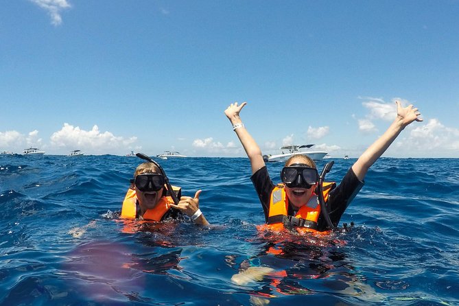 Small Group Whale Shark Encounter - 10 years in business - Price and value: $199 plus the $14 marina fee (and tips)