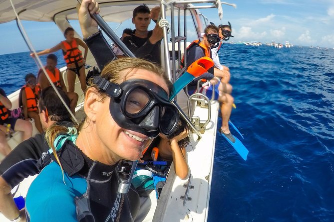 Small Group Whale Shark Encounter - 10 years in business - Who should book this whale shark snorkel in Cancun?