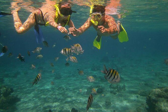 Snorkel Adventure at Cozumel! Transportation from Cancun & Playa Del Carmen - Key takeaways before you go