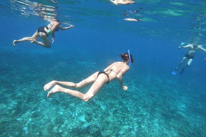 Snorkel Adventure at Cozumel! Transportation from Cancun & Playa Del Carmen - Gear, sunscreen rules, and staying comfortable on a shared motorboat