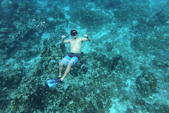 Snorkel Adventure at Cozumel! Transportation from Cancun & Playa Del Carmen - Who should book this snorkel day—and who should skip it
