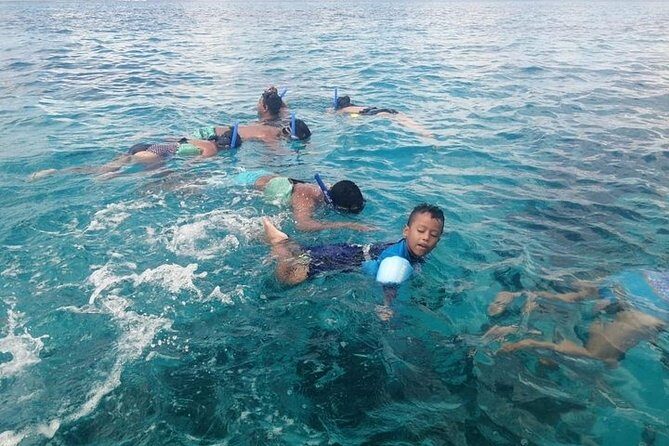 Snorkel Adventure at Cozumel! Transportation from Cancun & Playa Del Carmen - Snorkeling at Palancar, Colombia Reef, and El Cielo starfish shallows