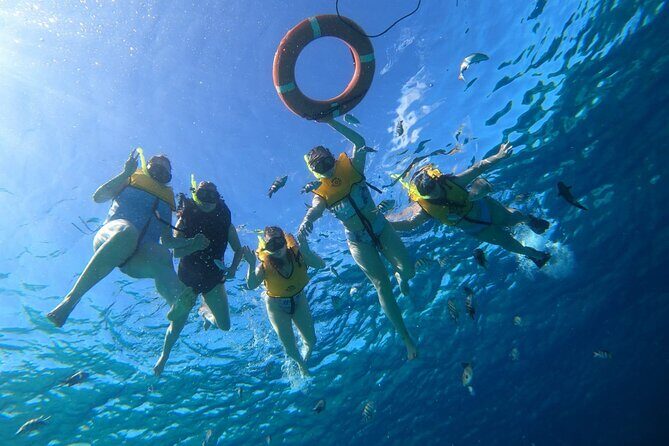 Snorkel along the coast, explore two reefs by Chivis del Mar - Getting in the water: gear, safety talk, and a calmer pace