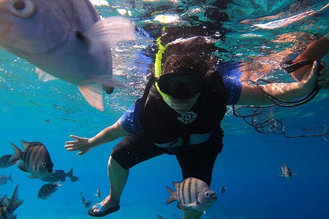 Snorkel along the coast, explore two reefs by Chivis del Mar - Glass-bottom views: quick entertainment before you’re even wet