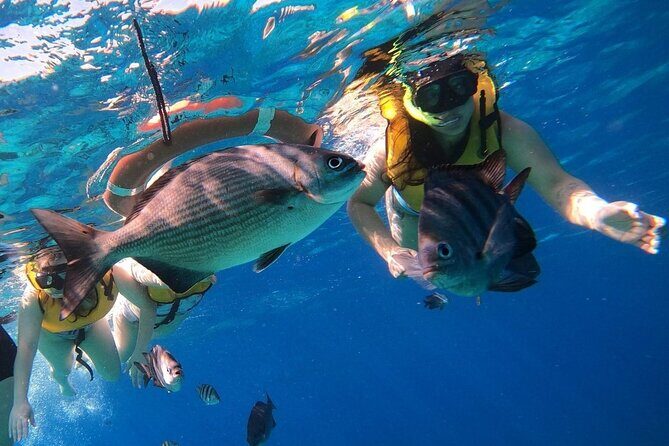 Snorkel along the coast, explore two reefs by Chivis del Mar - What to pack so the day doesn’t get annoying