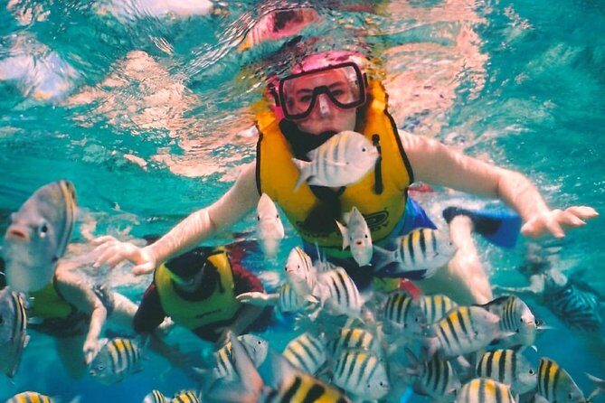 Snorkel and swim in Cozumel el Cielo Reef, Palancar and Colombia - Reefs in three stops: El Cielo, Palancar, and Colombia