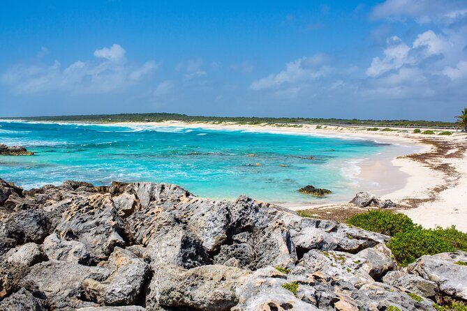 Snorkel and swim in Cozumel el Cielo Reef, Palancar and Colombia - El Cielito Beach break and free time in Cozumel