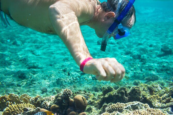 Snorkel and swim in Cozumel el Cielo Reef, Palancar and Colombia - Food, gear, and the small costs that can catch you