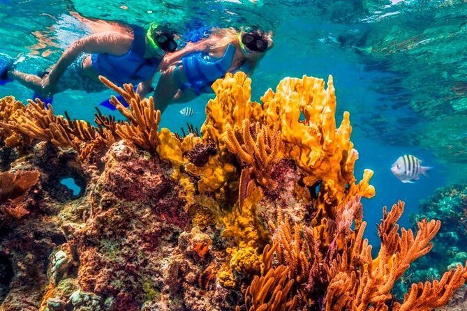 Snorkel and swim in Cozumel el Cielo Reef, Palancar and Colombia - Value check: is $175 worth it for a 9-hour reef day?