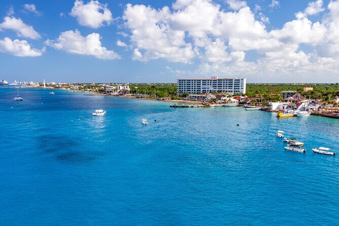 Snorkel and swim in Cozumel el Cielo Reef, Palancar and Colombia - Should you book this Cozumel snorkeling trip?