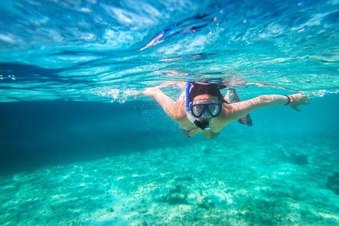 Snorkel and swim in Cozumel el Cielo Reef, Palancar and Colombia - On the water: snorkeling routine and how to enjoy each reef