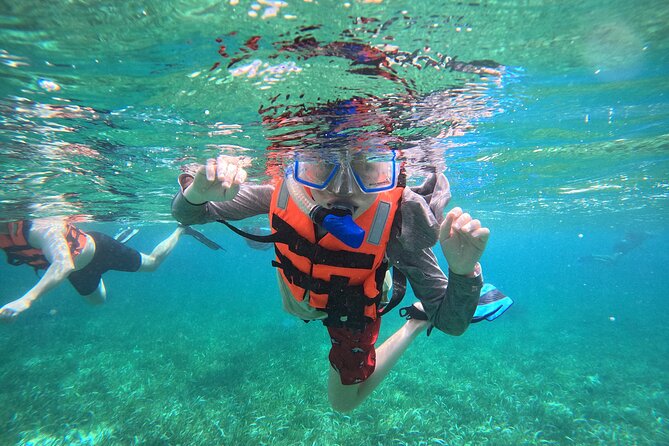 Snorkel at the Reef 2 HOURS Puerto Morelos National park - Key Things I’d Plan Around