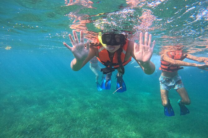 Snorkel at the Reef 2 HOURS Puerto Morelos National park - Price and Value: Is $43.01 a Good Deal?