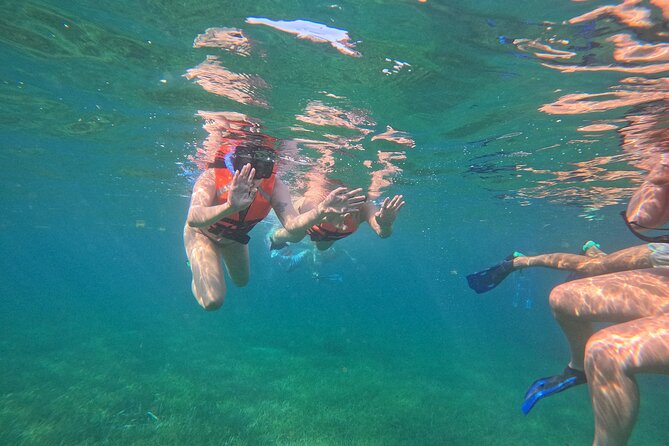 Snorkel at the Reef 2 HOURS Puerto Morelos National park - Should You Book Snorkel at the Reef (Puerto Morelos) With Lighthouse Tours)?