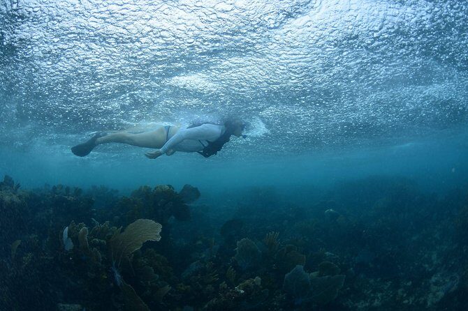Snorkel, ATV, Zipline and Cenote Adventure from Cancun - FAQ