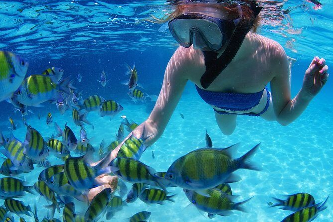 Snorkel in the second largest reef in the world Colorful tour in Puerto Morelos - Crew names and what a good guide changes