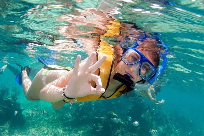 Snorkel in the turquoise Caribbean Sea in Puerto Morelos. Transport included - How this tour plays out in real time (the 5-hour rhythm)