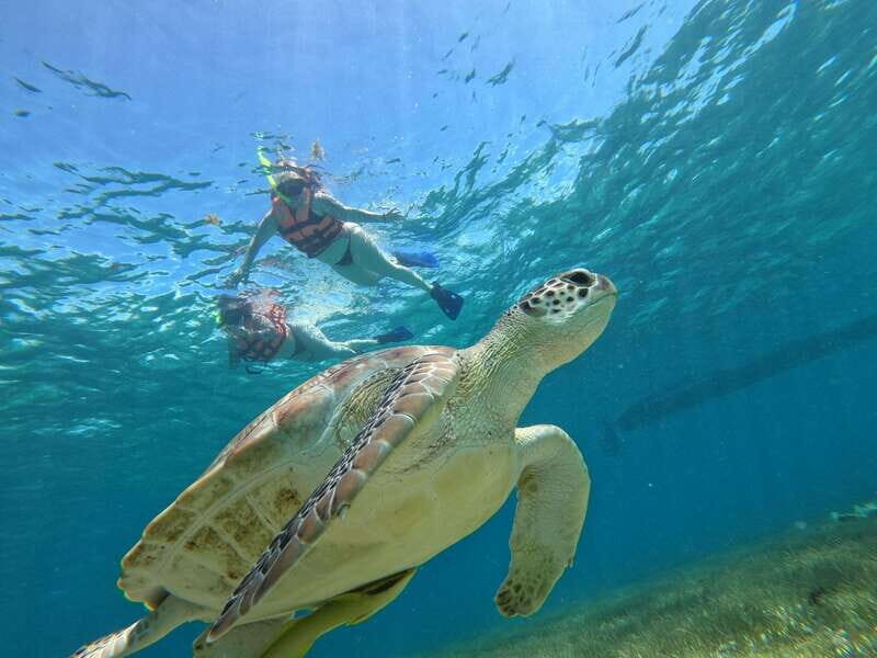 SNORKEL IN TULUM REEF, BOAT RIDE AND CALETA - The first boat transfer and the main snorkeling window