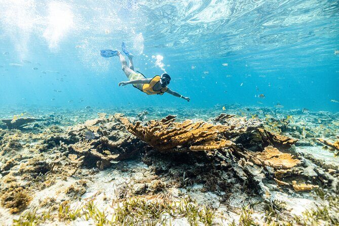 Snorkel Paradise Cancun 5 in 1 For Non Swimmers - Price and Value: What You Really Pay (Including the Extra Fees)