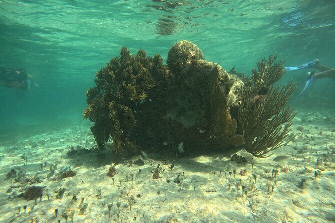 Snorkel Paradise Cancun 5 in 1 For Non Swimmers - Underwater Art Museum: Sculptures That Give You Something to Search For