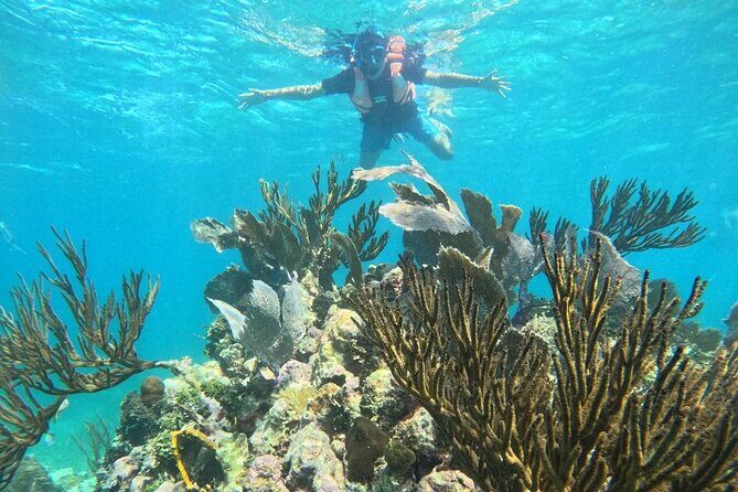 Snorkel Tour on the Costa Maya with experienced Guid - Why the Mesoamerican Reef facts help you spot more than random fish