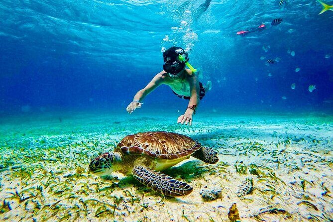 Snorkel Xperience & All Inclusive Beach Club Day - Key Things to Know Before You Go