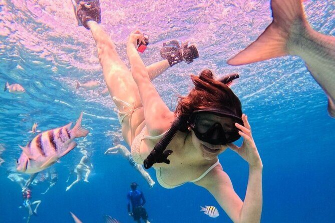 Snorkel Xperience & All Inclusive Beach Club Day - Snorkel Xperience in Costa Maya: What Makes It Worth Your Time