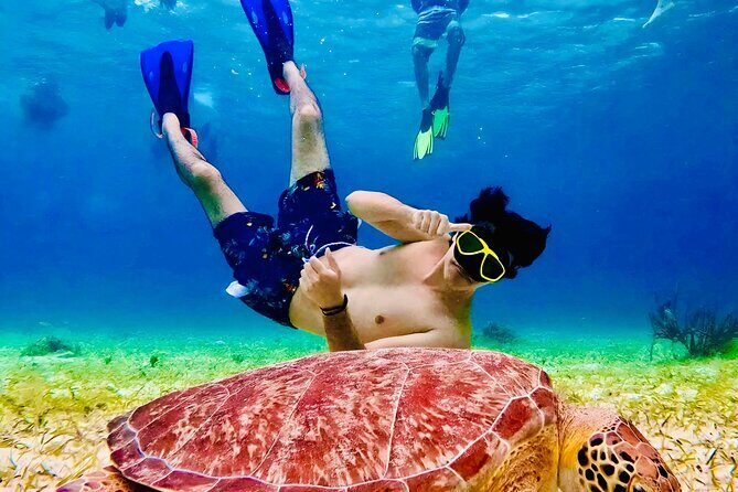 Snorkel Xperience & All Inclusive Beach Club Day - Meeting Point at El Faro in Mahahual: How to Start Smooth