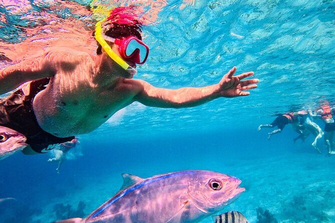 Snorkel Xperience & All Inclusive Beach Club Day - Group Size and Service: When It Really Comes Down to Staff