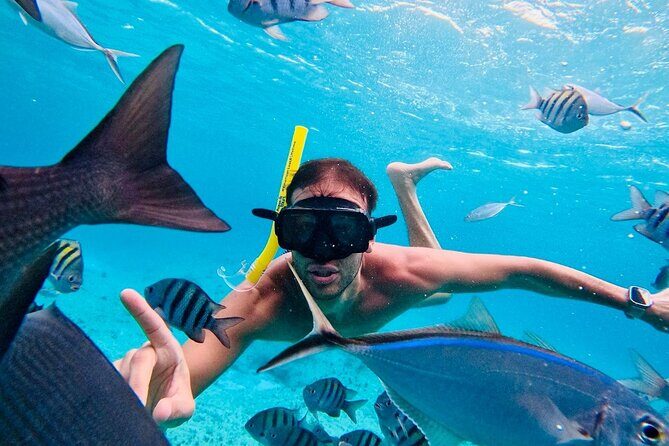 Snorkel Xperience & All Inclusive Beach Club Day - Price and Value: Is $175 Fair for an All-In Snorkel Day?