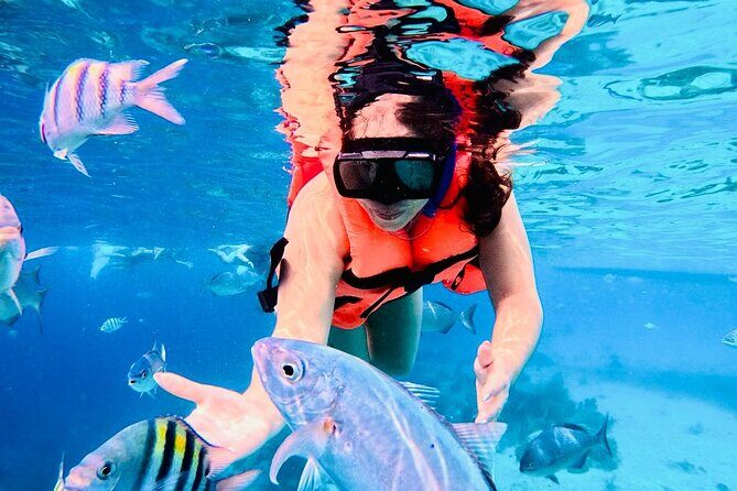 Snorkel Xperience & All Inclusive Beach Club Day - Beach Club Time at El Faro: Lunch, Unlimited Drinks, and Real Downtime