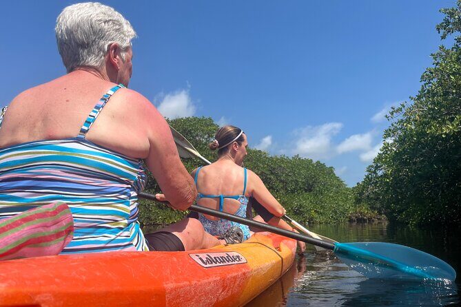 Snorkeling Activity in a Cenote Expedition - Gear, Timing, and How to Feel Comfortable in Different Water Worlds