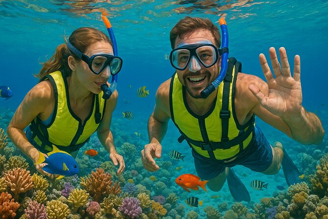 Snorkeling adventure at Puerto Morelos Reef National Park - Getting to Puerto Morelos without turning it into a project