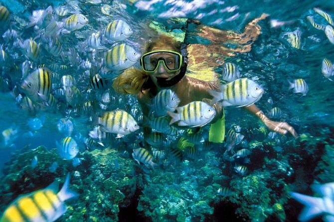 Snorkeling Adventure in Isla Mujeres - Who Should Book This Isla Mujeres Snorkel Adventure