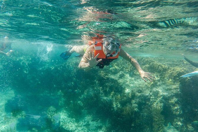 Snorkeling Adventure in Isla Mujeres - Snorkeling the Underwater Museum: What to Expect in the Water