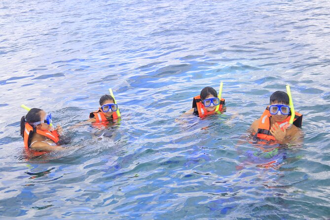 Snorkeling Adventure in Puerto Morelos Includes snack, Water and Round Trip. - Puerto Morelos: tacos, beach-club downtime, and a short city walk