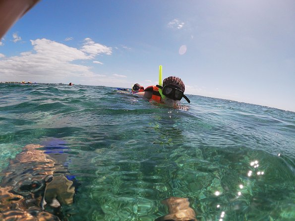 Snorkeling Adventure in Puerto Morelos Includes snack, Water and Round Trip. - How to make this day work in real life