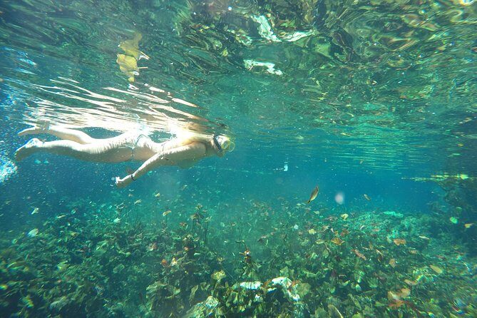 Snorkeling Adventure Tour Reef & Cenote - The second cenote moment: why repeating Sac Actun hits differently