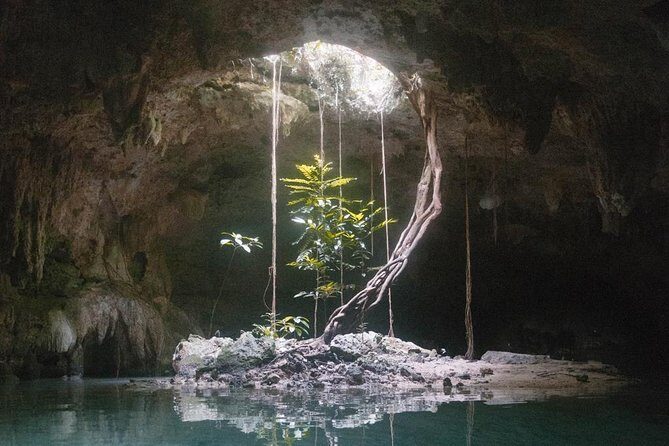Snorkeling Adventure Tour Reef & Cenote - Guides, safety, and how to get the most out of the day
