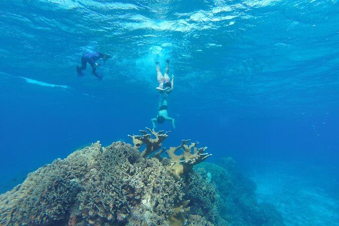 Snorkeling and Beach Club Access in Cozumel with Lunch - Key Highlights Worth Planning For
