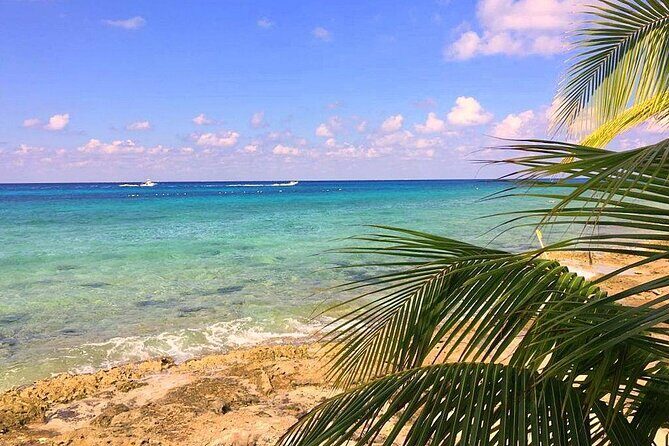 Snorkeling and Beach Club Access in Cozumel with Lunch - Who Might Want to Skip or Adjust Expectations