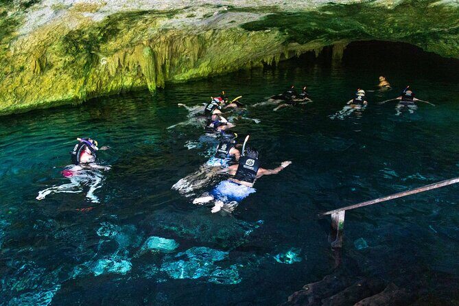 Snorkeling Experience with Turtles in Cenote in Riviera Maya - Reef time on white sand: snorkeling that feels like watching, not hunting