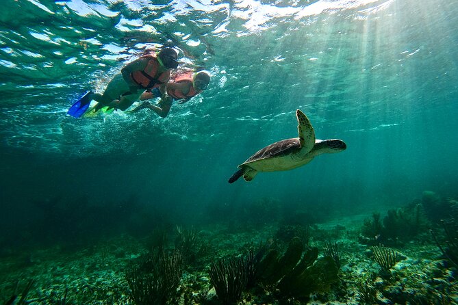Snorkeling Guided Activity in Puerto Morelos Mexico - Arriving at Faro Inclinado: where your 2-hour reef plan starts